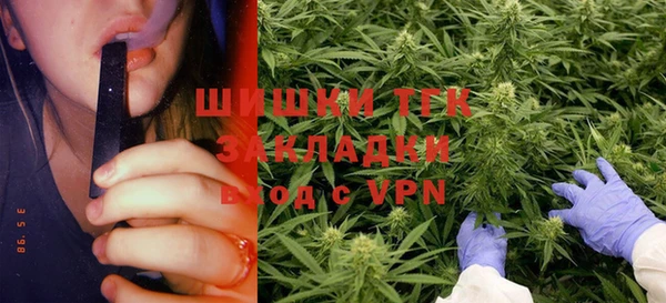 твердый Алзамай