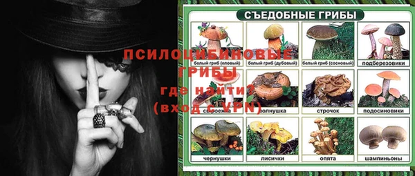 молекула духа Алексеевка