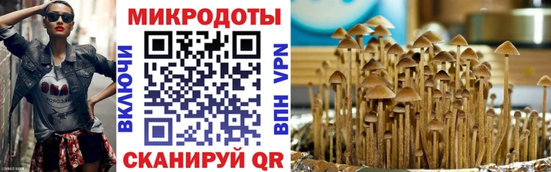 Псилоцибиновые грибы ЛСД  Рубцовск 